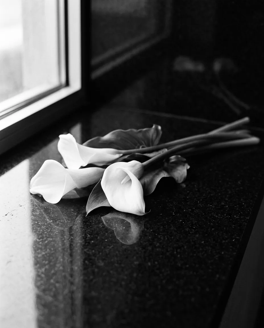 Alcatraces blancos sobre granito negro